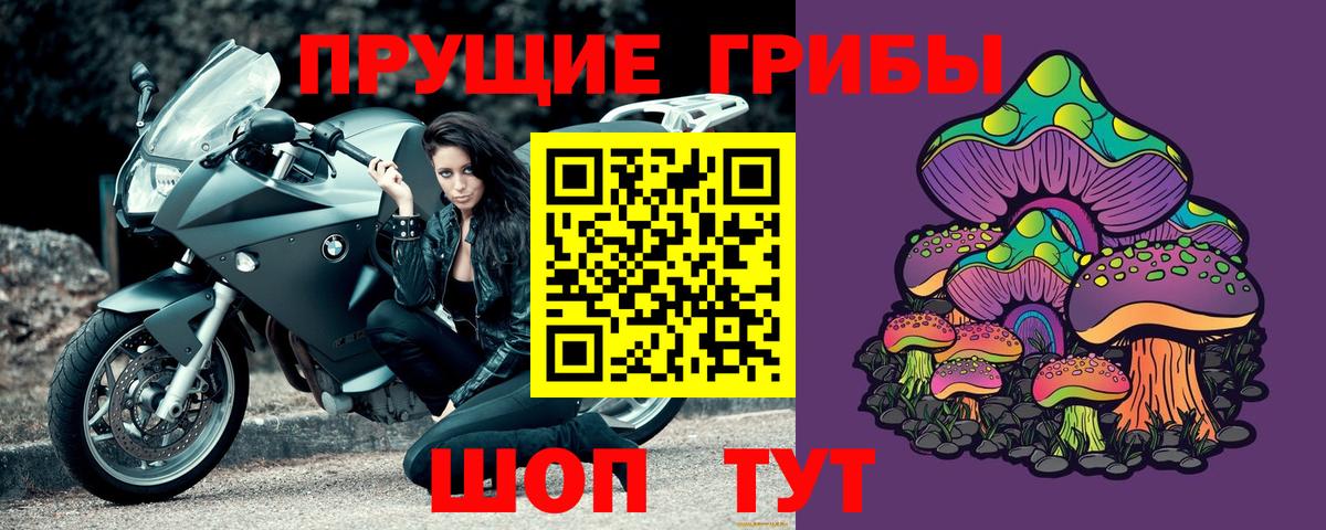 Галлюциногенные грибы прущие грибы  Вход с VPN  Псилоцибиновые грибы мицелий  Щёлково 