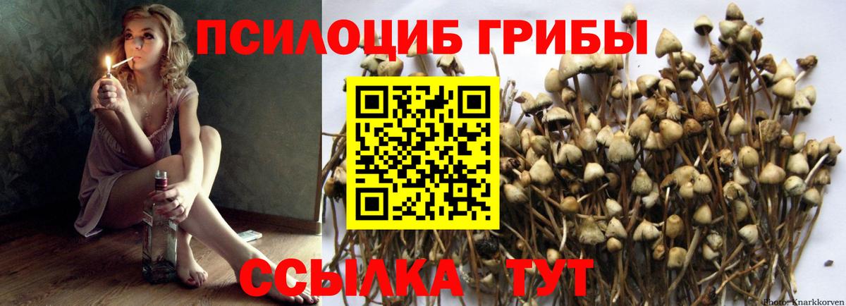 Галлюциногенные грибы ЛСД Щёлково